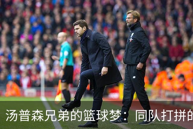 汤普森兄弟的篮球梦：同队打拼的秘密